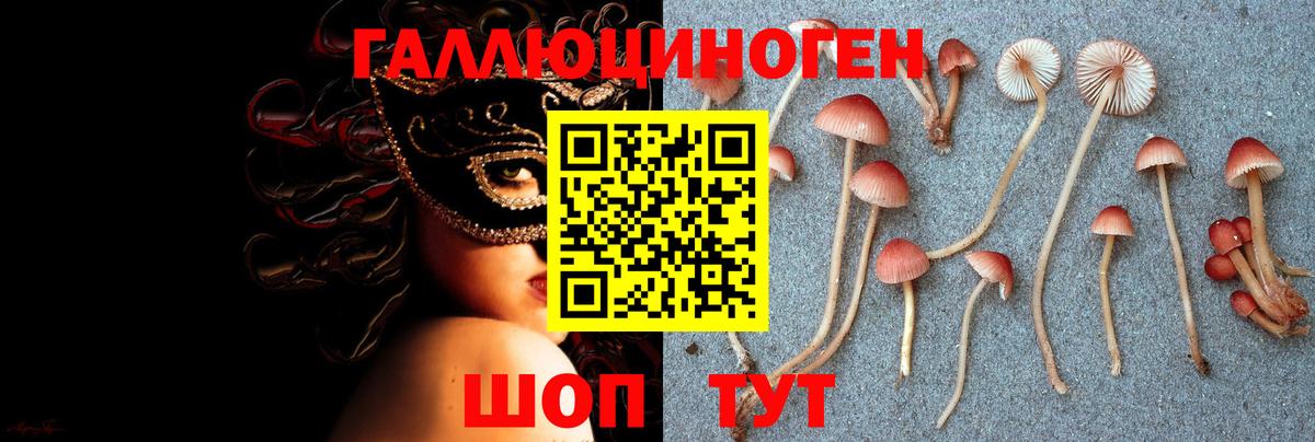 Псилоцибиновые грибы Magic Shrooms Вичуга